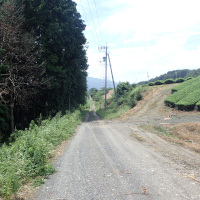 虫生野希望ケ丘線測量